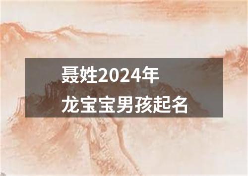 聂姓2024年龙宝宝男孩起名