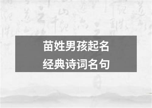 苗姓男孩起名经典诗词名句