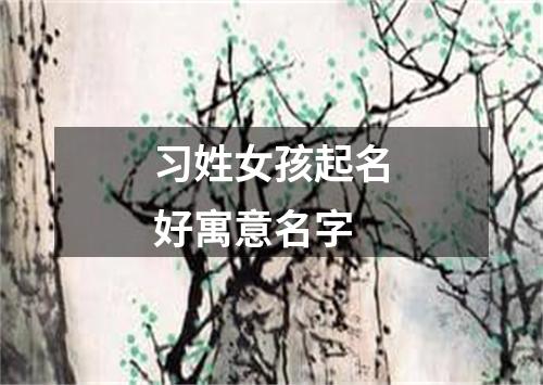 习姓女孩起名好寓意名字