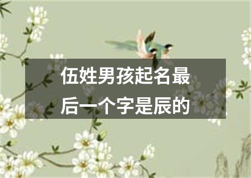 伍姓男孩起名最后一个字是辰的