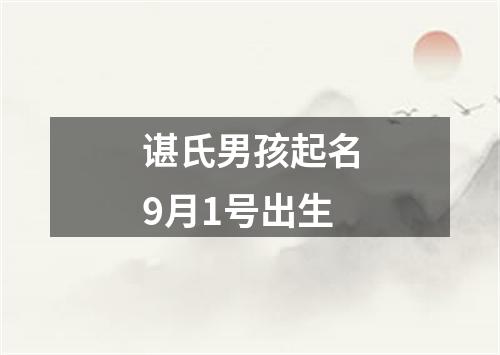 谌氏男孩起名9月1号出生