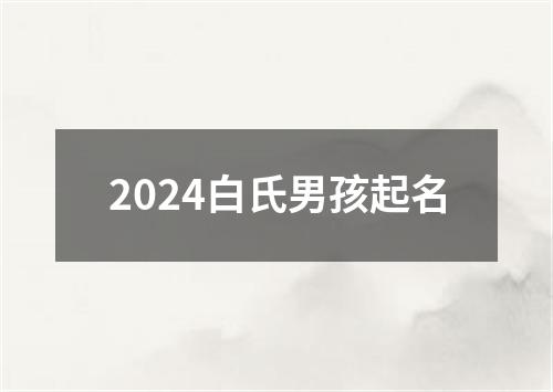 2024白氏男孩起名