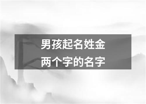 男孩起名姓金两个字的名字