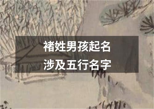 褚姓男孩起名涉及五行名字