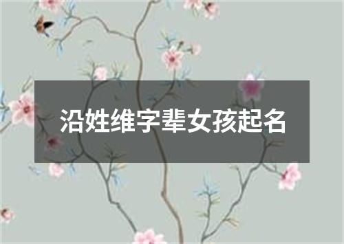 沿姓维字辈女孩起名