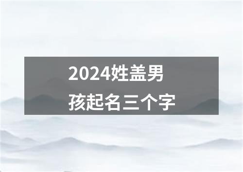 2024姓盖男孩起名三个字