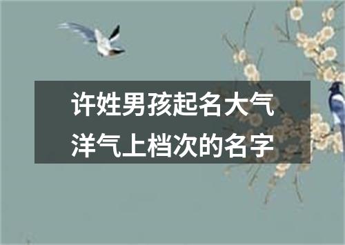 许姓男孩起名大气洋气上档次的名字