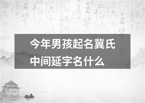 今年男孩起名冀氏中间延字名什么