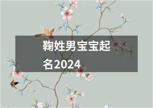 鞠姓男宝宝起名2024