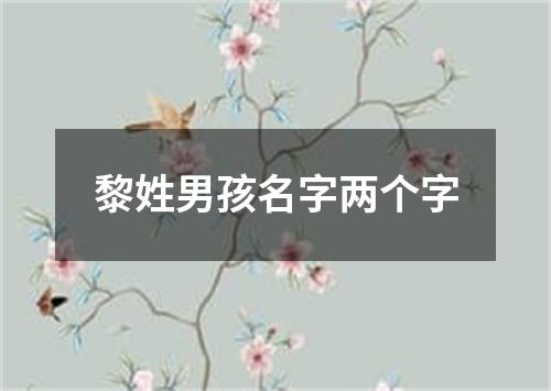 黎姓男孩名字两个字