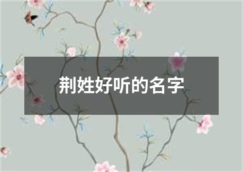 荆姓好听的名字