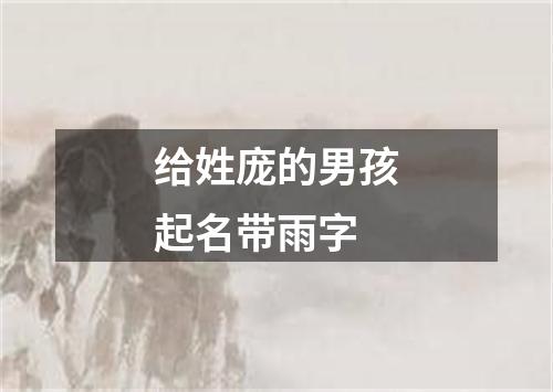 给姓庞的男孩起名带雨字