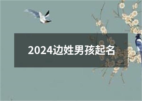 2024边姓男孩起名