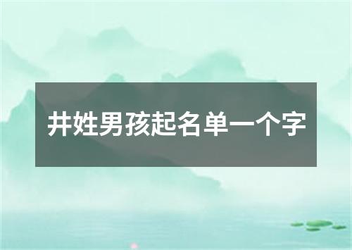 井姓男孩起名单一个字