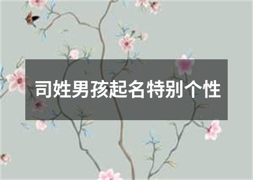 司姓男孩起名特别个性