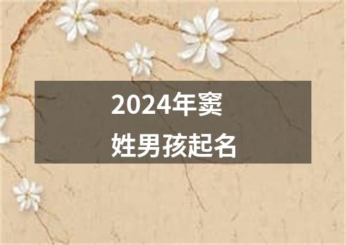 2024年窦姓男孩起名