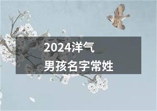 2024洋气男孩名字常姓