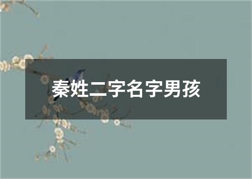 秦姓二字名字男孩