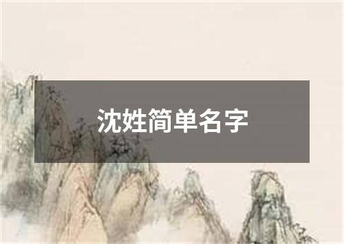 沈姓简单名字