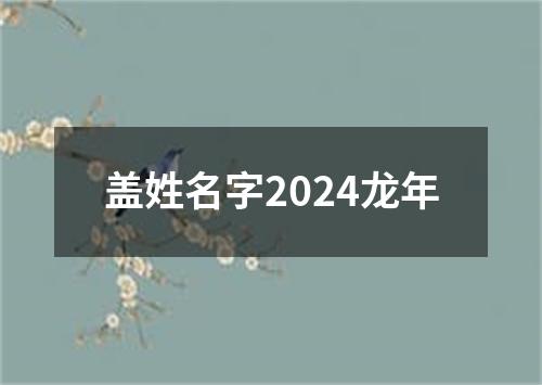 盖姓名字2024龙年