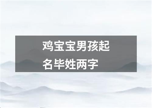 鸡宝宝男孩起名毕姓两字