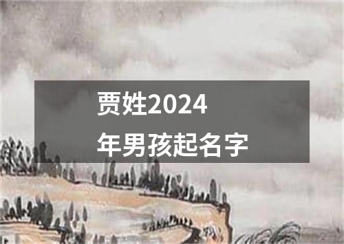 贾姓2024年男孩起名字