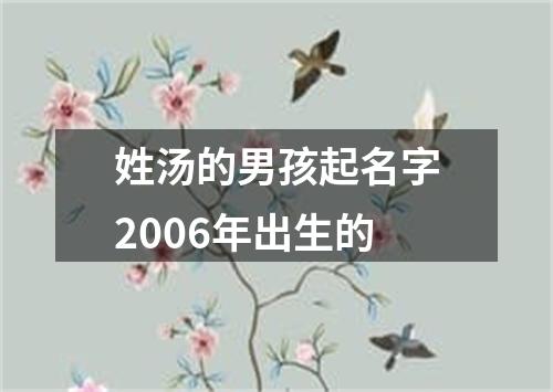 姓汤的男孩起名字2006年出生的