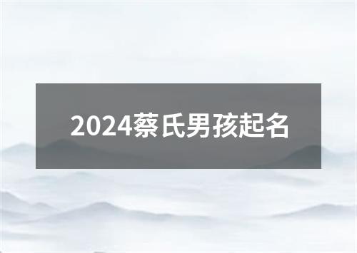 2024蔡氏男孩起名