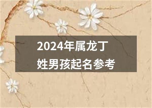 2024年属龙丁姓男孩起名参考