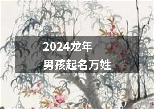 2024龙年男孩起名万姓