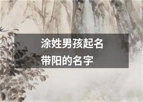 涂姓男孩起名带阳的名字