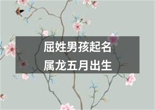 屈姓男孩起名属龙五月出生