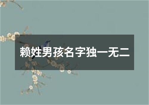 赖姓男孩名字独一无二