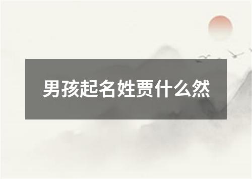 男孩起名姓贾什么然