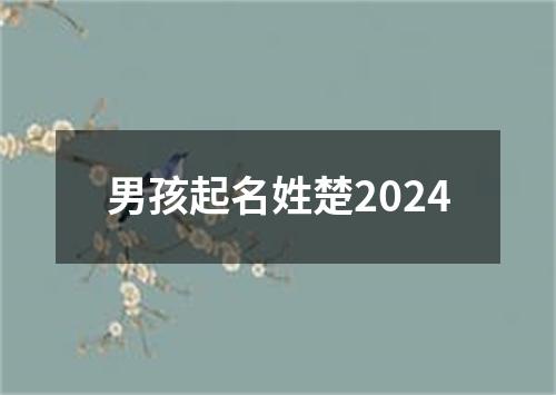 男孩起名姓楚2024