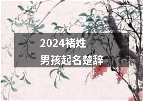 2024褚姓男孩起名楚辞