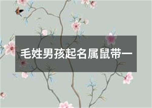 毛姓男孩起名属鼠带一