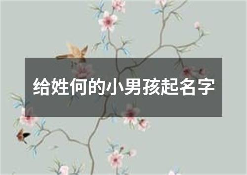 给姓何的小男孩起名字