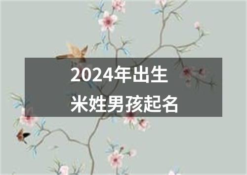 2024年出生米姓男孩起名