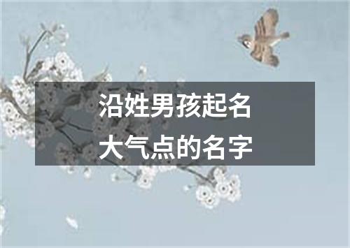 沿姓男孩起名大气点的名字