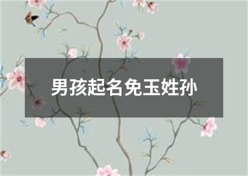 男孩起名免玉姓孙