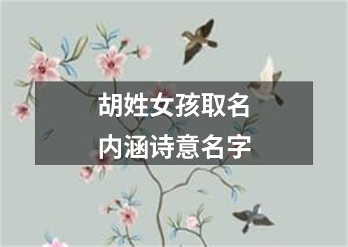 胡姓女孩取名内涵诗意名字