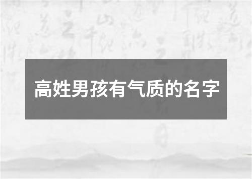 高姓男孩有气质的名字