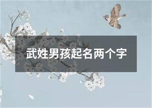 武姓男孩起名两个字