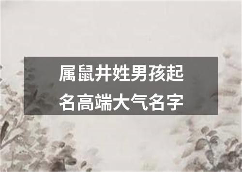 属鼠井姓男孩起名高端大气名字