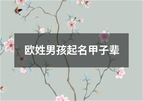 欧姓男孩起名甲子辈