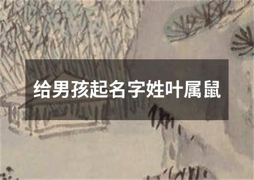 给男孩起名字姓叶属鼠