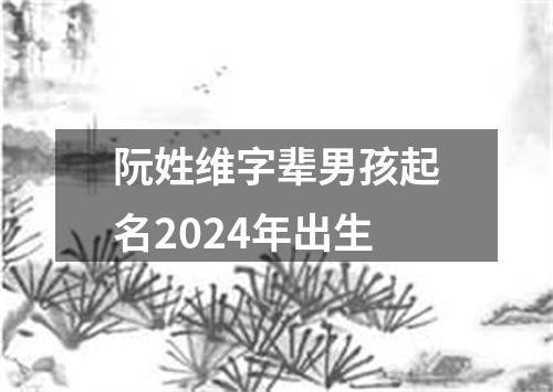 阮姓维字辈男孩起名2024年出生