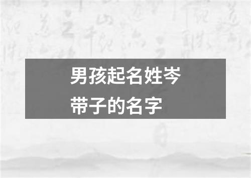 男孩起名姓岑带子的名字