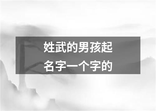 姓武的男孩起名字一个字的